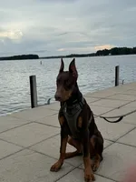 processed/1d69eca0-88fe-44ac-86a6-6f67cd0775ef/facility/72eac37f-a6f8-4505-a1e6-429bc92989d3