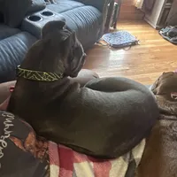 processed/1d69eca0-88fe-44ac-86a6-6f67cd0775ef/facility/7960e5a0-ec71-44b9-8e68-9850739f0efa