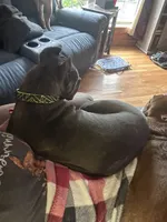 processed/1d69eca0-88fe-44ac-86a6-6f67cd0775ef/facility/7960e5a0-ec71-44b9-8e68-9850739f0efa