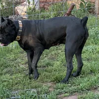 processed/1d69eca0-88fe-44ac-86a6-6f67cd0775ef/facility/bf269c68-d4ee-4ab8-b065-620c38422c14