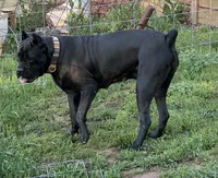 processed/1d69eca0-88fe-44ac-86a6-6f67cd0775ef/facility/bf269c68-d4ee-4ab8-b065-620c38422c14