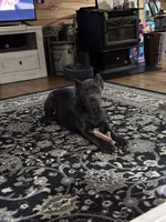 processed/1d69eca0-88fe-44ac-86a6-6f67cd0775ef/facility/c635d1f9-28df-4a5d-a5b9-1a81b40f68b6