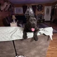 processed/1d69eca0-88fe-44ac-86a6-6f67cd0775ef/facility/f908eaf3-d09a-4617-9bef-9ffcfe494207