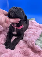 processed/1d69eca0-88fe-44ac-86a6-6f67cd0775ef/listing/02248e3d-7eeb-4736-8a2b-1270bec7a25e/3a5b5e0c-d3d9-4cd9-9d95-cf2cde7f5ced