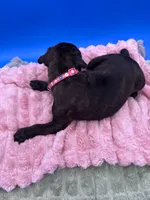 processed/1d69eca0-88fe-44ac-86a6-6f67cd0775ef/listing/02248e3d-7eeb-4736-8a2b-1270bec7a25e/4debc21a-240e-4aab-ad31-72c1df26b7d9