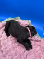 processed/1d69eca0-88fe-44ac-86a6-6f67cd0775ef/listing/02248e3d-7eeb-4736-8a2b-1270bec7a25e/6447f0e8-a82a-40ea-aaee-ff5a5e592f9d