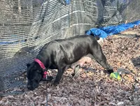 processed/1d69eca0-88fe-44ac-86a6-6f67cd0775ef/listing/02248e3d-7eeb-4736-8a2b-1270bec7a25e/8b618604-f656-441d-8657-7aad33955bbf