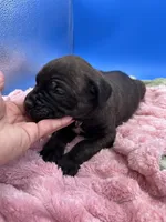 processed/1d69eca0-88fe-44ac-86a6-6f67cd0775ef/listing/02248e3d-7eeb-4736-8a2b-1270bec7a25e/c716f3c9-73d0-4096-8f76-4dd98b3ea5ab