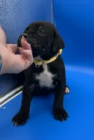 processed/1d69eca0-88fe-44ac-86a6-6f67cd0775ef/listing/53ad0c53-5527-454f-83a4-160835055ec2/4a64545c-1b0b-47f9-bb12-578e9b7bf25b