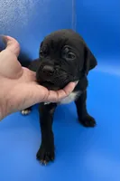 processed/1d69eca0-88fe-44ac-86a6-6f67cd0775ef/listing/53ad0c53-5527-454f-83a4-160835055ec2/5086fc9a-9d9b-407b-8ee3-afd20f3ca707