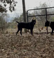 processed/1d69eca0-88fe-44ac-86a6-6f67cd0775ef/listing/53ad0c53-5527-454f-83a4-160835055ec2/a6313704-f775-4788-8e08-bcd8e492784f