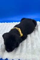 processed/1d69eca0-88fe-44ac-86a6-6f67cd0775ef/listing/53ad0c53-5527-454f-83a4-160835055ec2/bfec4c47-308a-4d71-a559-d9e611384b28