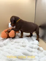 processed/1d69eca0-88fe-44ac-86a6-6f67cd0775ef/listing/5e82d176-29d8-47cc-b241-0b8e5fd38206/23871a76-2595-43f6-aca4-50803a6d22e3