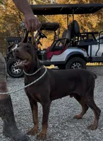 processed/1d69eca0-88fe-44ac-86a6-6f67cd0775ef/listing/5e82d176-29d8-47cc-b241-0b8e5fd38206/98107bed-bffd-48db-b4d9-8b3854ae9e01