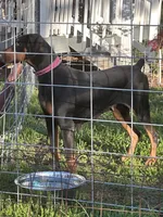 processed/1d69eca0-88fe-44ac-86a6-6f67cd0775ef/listing/5e82d176-29d8-47cc-b241-0b8e5fd38206/a5cfffb5-5312-498c-8ddb-1085f4525ced