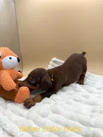 processed/1d69eca0-88fe-44ac-86a6-6f67cd0775ef/listing/5e82d176-29d8-47cc-b241-0b8e5fd38206/a8c54a9e-152c-41cd-8a8c-28640c3e735f