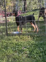 processed/1d69eca0-88fe-44ac-86a6-6f67cd0775ef/listing/5e82d176-29d8-47cc-b241-0b8e5fd38206/f699121f-5993-4704-9773-580d7c3122f9