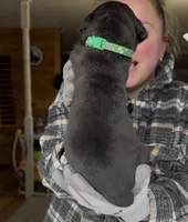 processed/1d69eca0-88fe-44ac-86a6-6f67cd0775ef/listing/aa3dbe3e-5eb3-4445-bdb4-73a50564874a/6b6679df-bcd2-4bef-b6d1-8640191e42ab