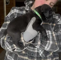 processed/1d69eca0-88fe-44ac-86a6-6f67cd0775ef/listing/aa3dbe3e-5eb3-4445-bdb4-73a50564874a/6dfd3034-924b-479e-b3ef-8bada67bf0ca