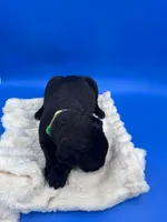 processed/1d69eca0-88fe-44ac-86a6-6f67cd0775ef/listing/aa3dbe3e-5eb3-4445-bdb4-73a50564874a/78f13d50-842e-4431-9c94-e1cfc1f87d30