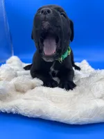 processed/1d69eca0-88fe-44ac-86a6-6f67cd0775ef/listing/aa3dbe3e-5eb3-4445-bdb4-73a50564874a/a9ee5552-abd2-4574-942c-e6631e325934