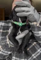 processed/1d69eca0-88fe-44ac-86a6-6f67cd0775ef/listing/aa3dbe3e-5eb3-4445-bdb4-73a50564874a/f2cb9984-3a86-4bc2-84d5-a49b1d4e2f61