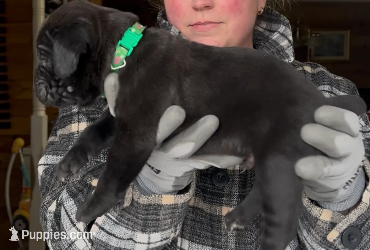 processed/1d69eca0-88fe-44ac-86a6-6f67cd0775ef/listing/aa3dbe3e-5eb3-4445-bdb4-73a50564874a/ff693a2d-e78b-485d-bb90-73eae7d0ffd1