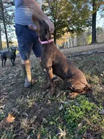 processed/1d69eca0-88fe-44ac-86a6-6f67cd0775ef/listing/b5dd0037-460a-422c-afc8-cdbc1e9e36f3/6c0caa2b-adad-4b67-b963-b7436a38b502