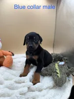 processed/1d69eca0-88fe-44ac-86a6-6f67cd0775ef/listing/b5dd0037-460a-422c-afc8-cdbc1e9e36f3/bf5dbb8b-bd34-401d-a698-9bb47ebb5dbd