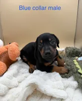 processed/1d69eca0-88fe-44ac-86a6-6f67cd0775ef/listing/b5dd0037-460a-422c-afc8-cdbc1e9e36f3/d2196a7e-6993-41a9-8824-1fe6b62ca6bc