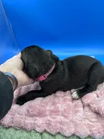 processed/1d69eca0-88fe-44ac-86a6-6f67cd0775ef/listing/bfaa6eed-68ac-4516-8cba-bf65f0525575/7f6a8b61-14e6-48ec-955c-cd2f65e03e3e