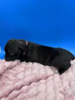 processed/1d69eca0-88fe-44ac-86a6-6f67cd0775ef/listing/bfaa6eed-68ac-4516-8cba-bf65f0525575/80613974-e27a-4e8b-90bc-00edae5451d0