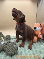 processed/1d69eca0-88fe-44ac-86a6-6f67cd0775ef/listing/f40f884d-4c1d-4bd0-86af-82d0e075df9a/0442ac5b-04bd-4400-a9bd-373cc16814e1