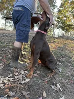 processed/1d69eca0-88fe-44ac-86a6-6f67cd0775ef/listing/f40f884d-4c1d-4bd0-86af-82d0e075df9a/13a8634a-159d-418e-ac30-72cc6e3b46c1