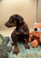 processed/1d69eca0-88fe-44ac-86a6-6f67cd0775ef/listing/f40f884d-4c1d-4bd0-86af-82d0e075df9a/3caa5a98-bc13-44e9-bb21-db80eab5e606