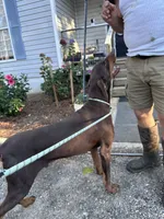 processed/1d69eca0-88fe-44ac-86a6-6f67cd0775ef/listing/f40f884d-4c1d-4bd0-86af-82d0e075df9a/7207d807-2d80-491e-b409-561ccfe98d60