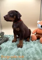 processed/1d69eca0-88fe-44ac-86a6-6f67cd0775ef/listing/f40f884d-4c1d-4bd0-86af-82d0e075df9a/cadda48b-10ea-4466-b08b-da8b704811e4