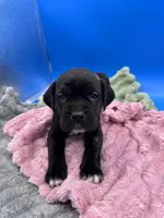 processed/1d69eca0-88fe-44ac-86a6-6f67cd0775ef/listing/fb055f48-e89a-4117-a8dd-7197996d8900/3ad13a70-96fa-491a-9837-1b80b1c16dc9