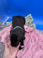 processed/1d69eca0-88fe-44ac-86a6-6f67cd0775ef/listing/fb055f48-e89a-4117-a8dd-7197996d8900/805161aa-04ea-4b73-bec1-a1e235ab9e06