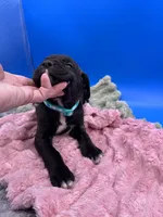 processed/1d69eca0-88fe-44ac-86a6-6f67cd0775ef/listing/fb055f48-e89a-4117-a8dd-7197996d8900/abaa860e-c40e-49b1-b727-30b977c33061