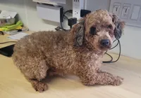 processed/1d72f684-4f24-4557-af7e-1fedc6d9e65e/listing/45ab557a-4f7a-4ee3-b2e5-3491aa5534e3/a3c55656-edcd-4069-b257-0e69186605ce