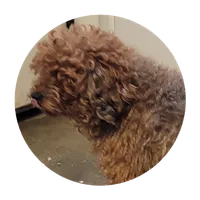 processed/1d72f684-4f24-4557-af7e-1fedc6d9e65e/listing/45ab557a-4f7a-4ee3-b2e5-3491aa5534e3/c1298fd1-5425-46f0-b43c-c1e5e7215fb8