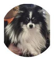 processed/1d72f684-4f24-4557-af7e-1fedc6d9e65e/listing/eb2f3e99-7bed-4e61-b481-fc11628274fe/be650c1d-1e9c-42a2-84bb-4a6b474486b5