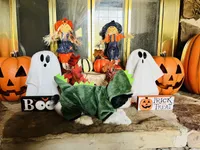 processed/1d737350-5983-42a3-9073-63e2f7838522/facility/1c5d2c8b-4802-4872-85d2-9559a17c90ce