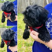 processed/1d737350-5983-42a3-9073-63e2f7838522/facility/5db39917-057d-4171-86b2-f77e18de4964