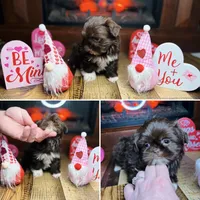 processed/1d737350-5983-42a3-9073-63e2f7838522/facility/63c4d5e5-88d7-421d-85d4-fc9b8c750b43