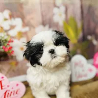 processed/1d737350-5983-42a3-9073-63e2f7838522/facility/770e49a2-1398-44f2-be33-f211f6d3f553