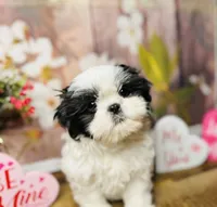 processed/1d737350-5983-42a3-9073-63e2f7838522/facility/770e49a2-1398-44f2-be33-f211f6d3f553