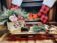 processed/1d737350-5983-42a3-9073-63e2f7838522/facility/7d2bc8ac-3a72-4f24-a19d-12f8924d8b5c