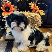 processed/1d737350-5983-42a3-9073-63e2f7838522/facility/b065c23d-6762-4a76-918a-9f37fb8179f7